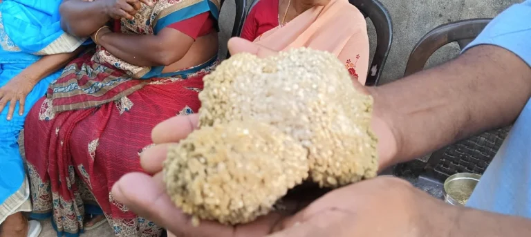 மேல்பாறை கிராமத்தில் ரேஷன் கடையில் தரமற்ற அரிசி வழங்கல் -சமூக பொதுநல இயக்கம் புகார் –