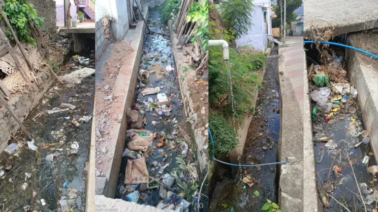 ஆரல்வாய்மொழியில்கூட்டம் நடத்தும் கொசுக்கள்… குறட்டை விடும் பேரூராட்சி..சமூக பொதுநல இயக்கம் புகார்.