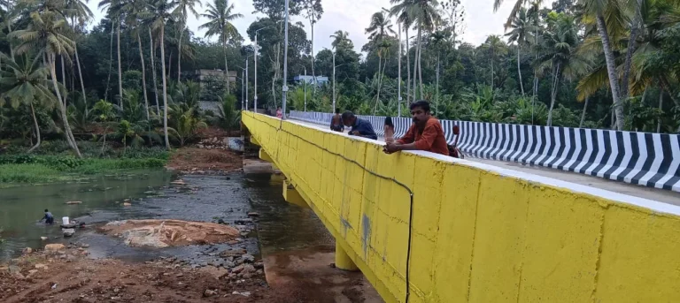 மலைவிளைக்கு வந்த சோதனை, மக்கள் ஆற்றில்இறங்க முடியாமல் வேதனை.