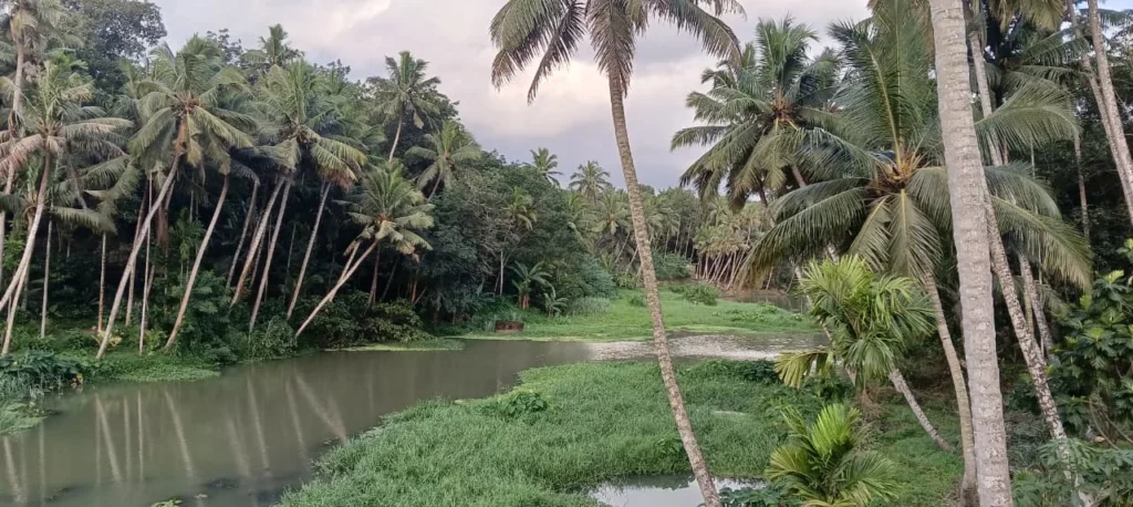 paraliyaru-river-encroachment-complaint-2025