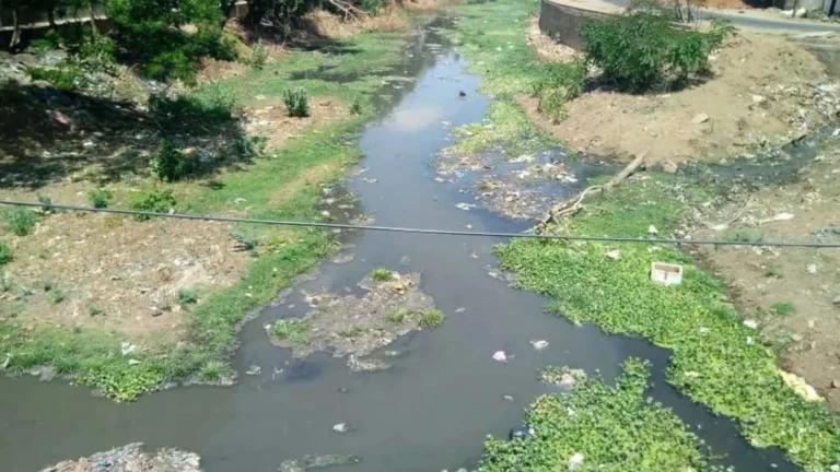 திருச்சியில்பாழாகிப்போன பழமையான கால்வாய் பராமரிப்பது எப்போது?சமூக பொதுநல இயக்கம் கேள்வி-