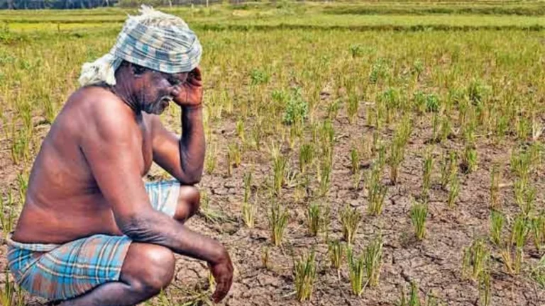 விவசாயிகளுக்கு கூட்டுறவு வங்கிகள் பயிர்க்கடன் வழங்க மறுப்புசமூக பொதுநல இயக்கம் கண்டனம்-