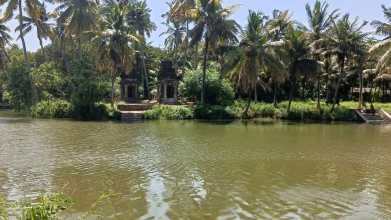 தேர்தல் வாக்குறுதியான நீர்நிலை காவலர்கள் பணியில் பணியாளர்கள் நியமிக்கப்படுவது எப்போது?சமூக பொதுநல இயக்கம் கேள்வி-