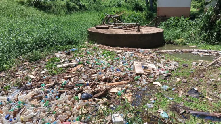 தக்கலை அருகேஆற்றில் தேங்கிய கழிவுகளால் மாசுபட்ட குடிநீர் விநியோகம்-சமூக பொதுநல இயக்கம் புகார் –
