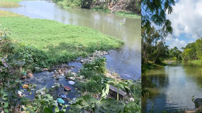 கழிவுநீர் கலப்பால்பாழாகிப் போன பழையாறு-சமூக பொதுநல இயக்கம் புகார் –