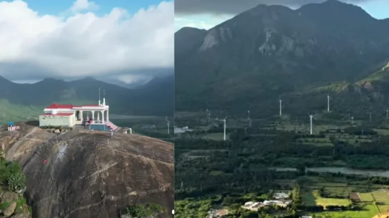 ஆரல்வாய்மொழியில்சித்தர்கிரி மலைப்பகுதியில் ரோப்கார் திட்டம்-சமூக பொதுநல இயக்கம் வலியுறுத்தல்-