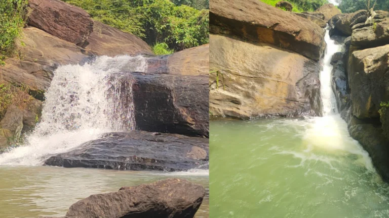 Tamil Nadu rejects the Mullaiyaru dam project proposed as an alternative to the Neyyar left-basin canal