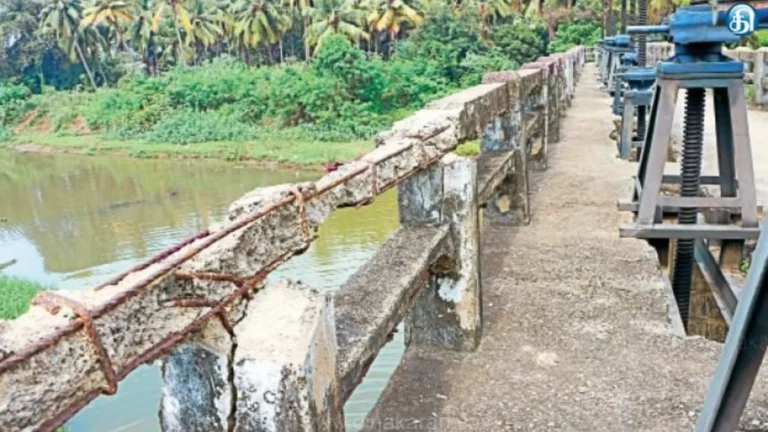 பழையாற்று பழுதடைந்த தடுப்பணைகள் பராமரிப்பது எப்போது? சமூக பொதுநல இயக்கம் கேள்வி?