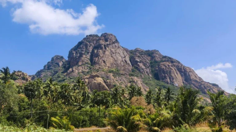 மருந்து வாழ் மலையினை மலை ஏற்றப்பட்டியலில் இணைக்க வேண்டும் – சமூக பொதுநல இயக்கம் வலியுறுத்தல்.