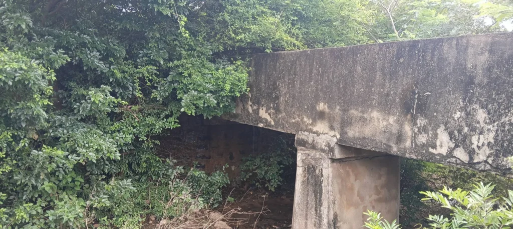 Poigai Anai Irrigation Canal Water Wastage