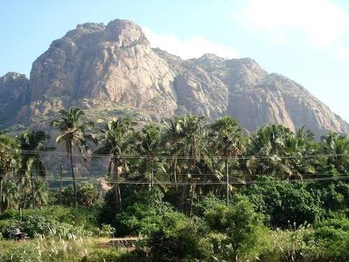 Petition submitted to authorities requesting inclusion of மருந்து வாழ்மலை in the official hill climbing list by the சமூக பொதுநல இயக்கம்