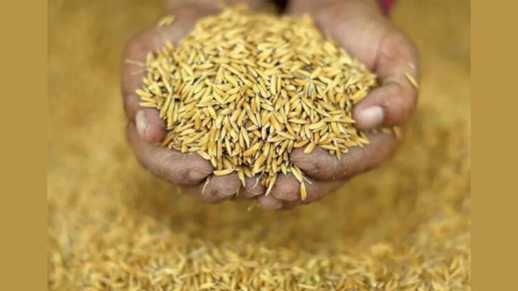 Social Welfare Movement's Protest Against the Seed Bill that Strips Farmers' Rights.