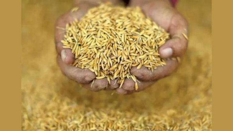 Social Welfare Movement's Protest Against the Seed Bill that Strips Farmers' Rights.