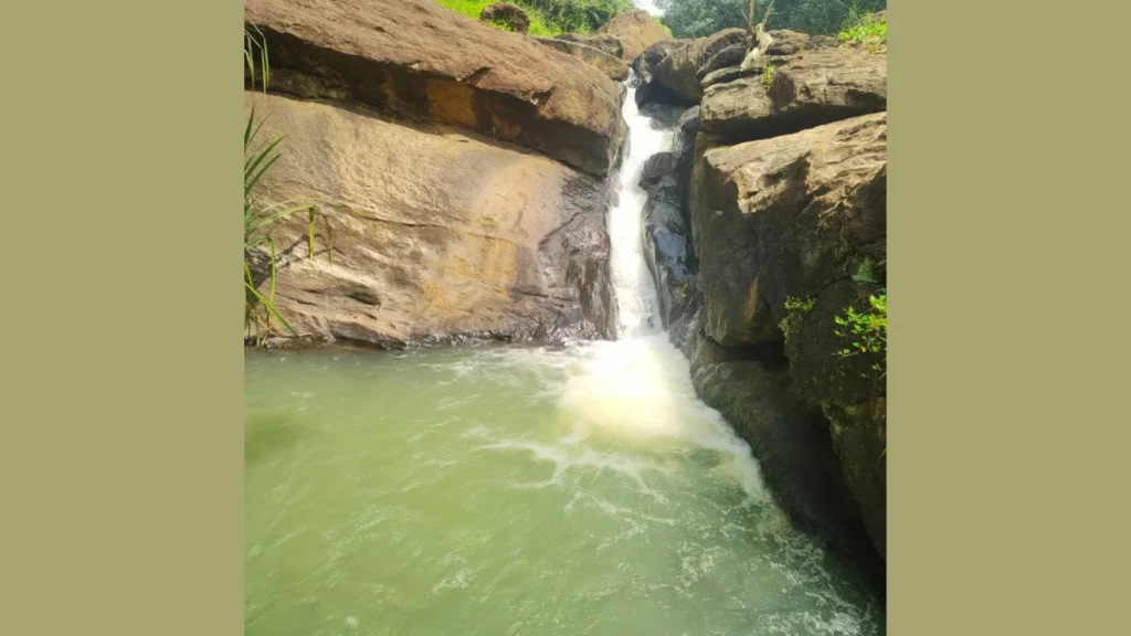 குமரி மாவட்டத்தில் நீர்வள பாதுகாப்பிற்கான தடுப்பணை அமைப்பு