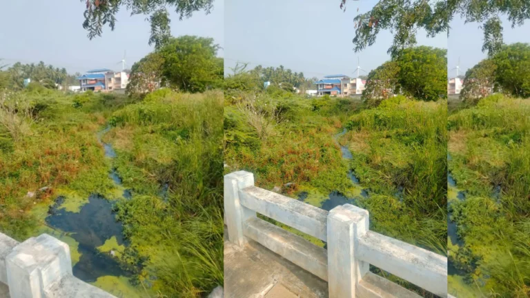 ஆக்கிரமிப்பு மற்றும் மாசு காரணமாக பாதிக்கப்பட்ட அனுமன் நதி