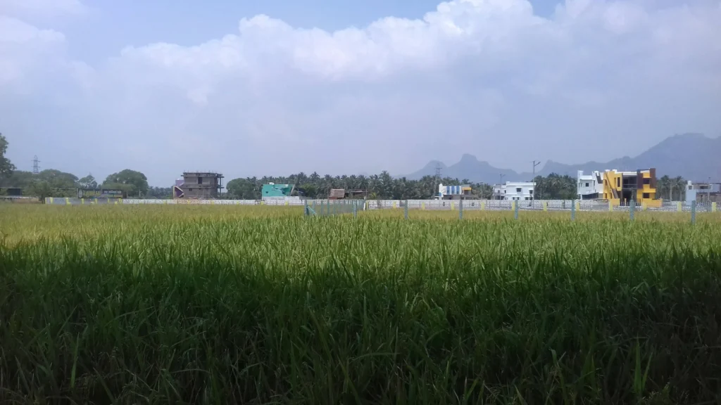 குமரி விவசாயம் பாதிப்பு, கன்னியாகுமரி சுற்றுச்சூழல் பிரச்சனை, மேற்கு தொடர்ச்சி மலை பாதுகாப்பு