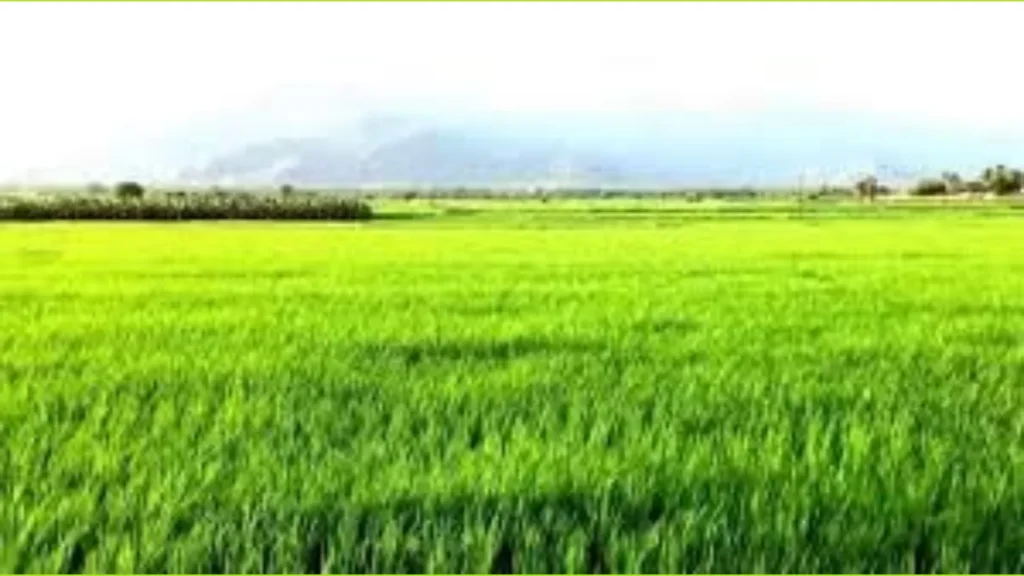 இனாம் நிலம் மற்றும் விவசாயிகளின் நில உரிமை பிரச்சனை