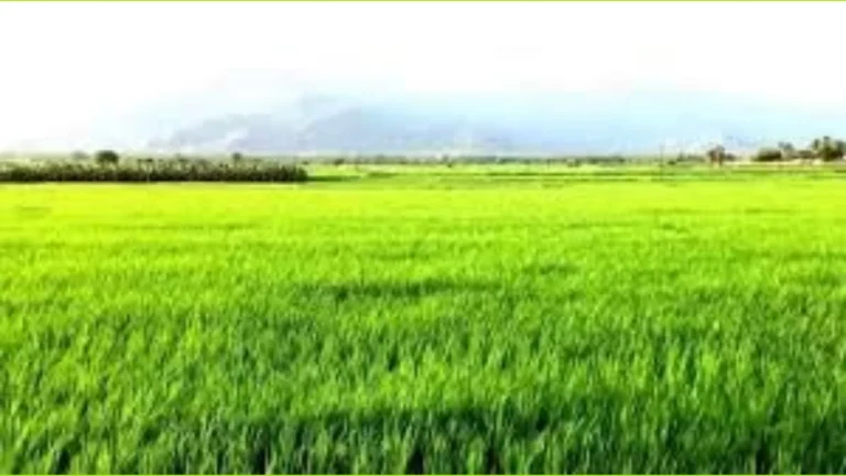 இனாம் நிலம் மற்றும் விவசாயிகளின் நில உரிமை பிரச்சனை