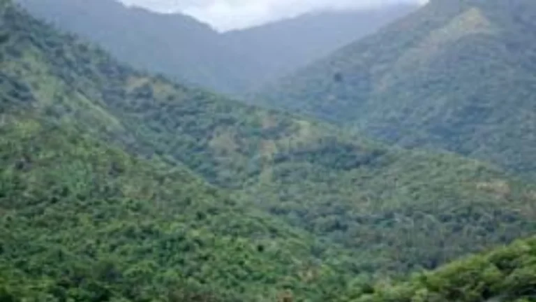 மேற்கு தொடர்ச்சி மலையில் சுரங்கம் அமைக்கும் திட்டம் மற்றும் சுற்றுச்சூழல் பாதிப்பு