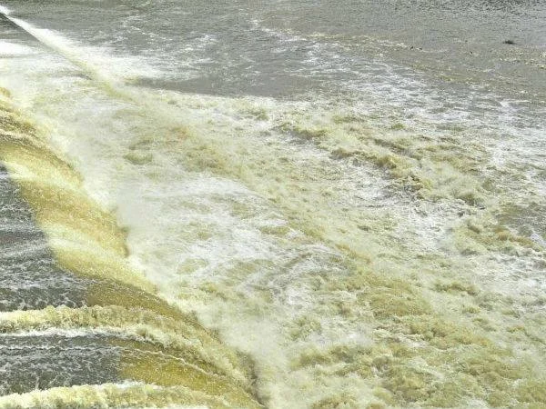 காவிரி ஆறு மாசுபாடு
சாய ஆலை கழிவுகள்
காவிரி ஆறு
நீர் மாசுபாடு
ஈரோடு சாய ஆலை
திருப்பூர் தொழிற்சாலை கழிவுகள்
சுற்றுச்சூழல் பாதுகாப்பு
குடிநீர் பாதுகாப்பு
நதிகள் பாதுகாப்பு
சமூக பொதுநல இயக்கம்
English Keywords