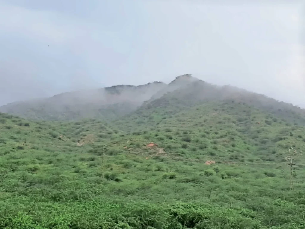 மேற்கு தொடர்ச்சி மலைகளின் சுற்றுச்சூழல் முக்கியத்துவம்
இந்தியாவில் சுரங்கத் தொழிலின் சுற்றுச்சூழல் தாக்கங்கள்
பல்லுயிர் பாதுகாப்பின் அவசியம்
காலநிலை மாற்றம் மற்றும் இயற்கை வளங்கள்
சுற்றுச்சூழல் மண்டலங்களின் முக்கியத்துவம்