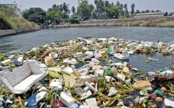 காலிங்கராயன் கால்வாய் மாசுபாடு: விவசாயிகள் கவலை
750 ஆண்டுகள் பழமையான கால்வாய் இன்று ஆபத்தில்
ஈரோட்டின் உயிர்நாடி காலிங்கராயன் கால்வாய் காக்கப்படுமா?
சாயக்கழிவால் சீரழியும் காலிங்கராயன் கால்வாய்
வரலாற்றுச் சிறப்புமிக்க கால்வாய் கழிவுநீர் கால்வாயாக மாறுமா?
காலிங்கராயன் கால்வாயை காப்பது யார் பொறுப்பு?
கொங்கு மண்டல விவசாயத்தின் முதுகெலும்பு ஆபத்தில்
பண்டைய தமிழர் பொறியியல் அதிசயம் மாசுபாட்டில் சிக்கியது
Kalingarayan Canal
Erode Canal Pollution
Kalingarayan Anicut
Bhavani River Irrigation
Historic Irrigation Canal
Water Pollution Tamil Nadu
Erode Agriculture
Ancient Water Management
Canal Restoration
Environmental Protection