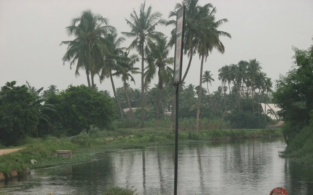 தமிழ்நாட்டின் வரலாற்றுச் சிறப்புமிக்க நீர்ப்பாசன அமைப்புகள்
பவானி ஆற்றின் முக்கியத்துவம்
நொய்யல் ஆற்றின் சுற்றுச்சூழல் சவால்கள்
நீர்நிலை மாசுபாட்டின் விளைவுகள்
விவசாயத்திற்கான நீர் மேலாண்மை
காலிங்கராயன் கால்வாய்
ஈரோடு கால்வாய் மாசுபாடு
காலிங்கராயன் அணை
பவானி ஆறு
நொய்யல் ஆறு
ஈரோடு விவசாயம்
நீர்நிலை பாதுகாப்பு
சாயக்கழிவு மாசுபாடு
வரலாற்று கால்வாய்
கொங்கு மண்டல பாசனம்