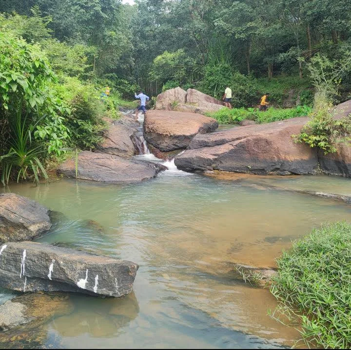 முல்லையாறு அருவித் திட்டம்: 40 ஆண்டுகளாக காத்திருக்கும் மக்கள்
குமரியின் மறைக்கப்பட்ட சுற்றுலா பொக்கிஷம் முல்லையாறு
முடங்கிய முல்லையாறு திட்டத்தை உயிர்ப்பிக்குமா அரசு?
சுற்றுலாவும் நீர்வளமும் தரும் முல்லையாறு அருவி திட்டம்