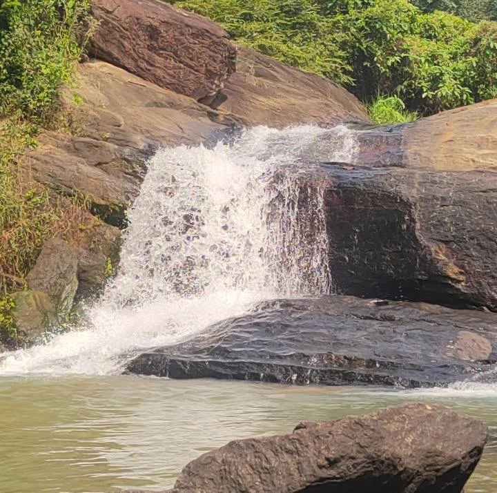 பல்லிக்கூட்டம் பகுதியில் புதிய சுற்றுலா மையம் உருவாகுமா?
முல்லையாறு அருவி: குமரி மாவட்ட வளர்ச்சிக்கான வாய்ப்பு
நிலத்தடி நீரை உயர்த்தும் முல்லையாறு திட்டம்
முல்லையாறு அருவி திட்டம் செயல்பட்டால் கிடைக்கும் நன்மைகள் என்ன?