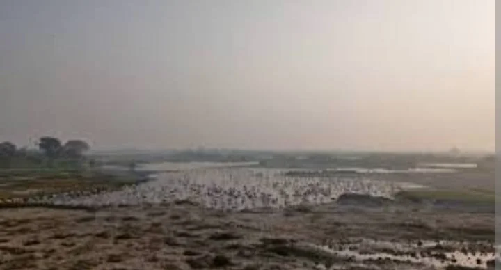 காவிரி ஆறு மாசுபாடு
மேற்கு தொடர்ச்சி மலைகள் பாதுகாப்பு
குமரி மாவட்ட தடுப்பணை திட்டங்கள்
நீர்வள பாதுகாப்பு மற்றும் சுற்றுச்சூழல்
காலநிலை மாற்றம் மற்றும் ஈரநில பாதுகாப்பு