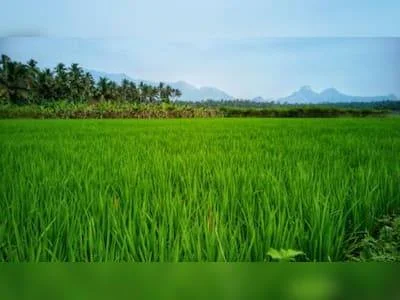 பரந்தூர் விமான நிலைய திட்டம் மற்றும் அதன் தாக்கங்கள்
தமிழக விவசாயிகளின் நில உரிமைகள்
சிப்காட் தொழிற்பேட்டைகள் மற்றும் சுற்றுச்சூழல் சவால்கள்
நில ஒருங்கிணைப்பு சட்டம் – விளக்கம்
தொழில் வளர்ச்சி மற்றும் விவசாய நில பாதுகாப்பு