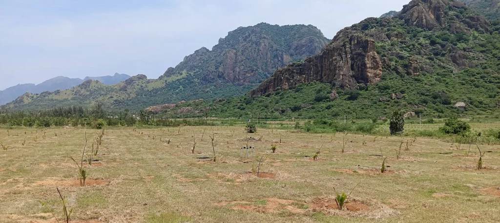Kanyakumari Rubber Park
Rubber Industry Tamil Nadu
Rubber Farming Kanyakumari
Rubber Board India
Rubber Processing Industry
Industrial Development Tamil Nadu
Rubber Export Tamil Nadu
SEZ Rubber Park
Kanyakumari Economy
Rubber Manufacturing Project