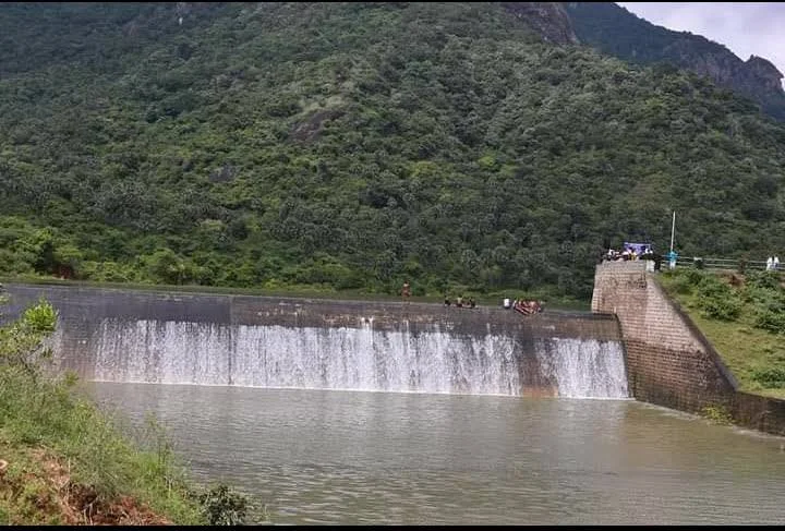 பொய்கை அணைக்கு உயிர் கொடுக்கும் இணைப்பு கால்வாய் திட்டம்
தோவாளை-பொய்கை கால்வாய் இணைப்பு விவசாயிகளை காப்பாற்றுமா?
குடிநீர் மற்றும் பாசனத்திற்கான புதிய தீர்வு: இணைப்பு கால்வாய்
பொய்கை அணை ஏன் முழுமையாக நிரம்புவதில்லை?