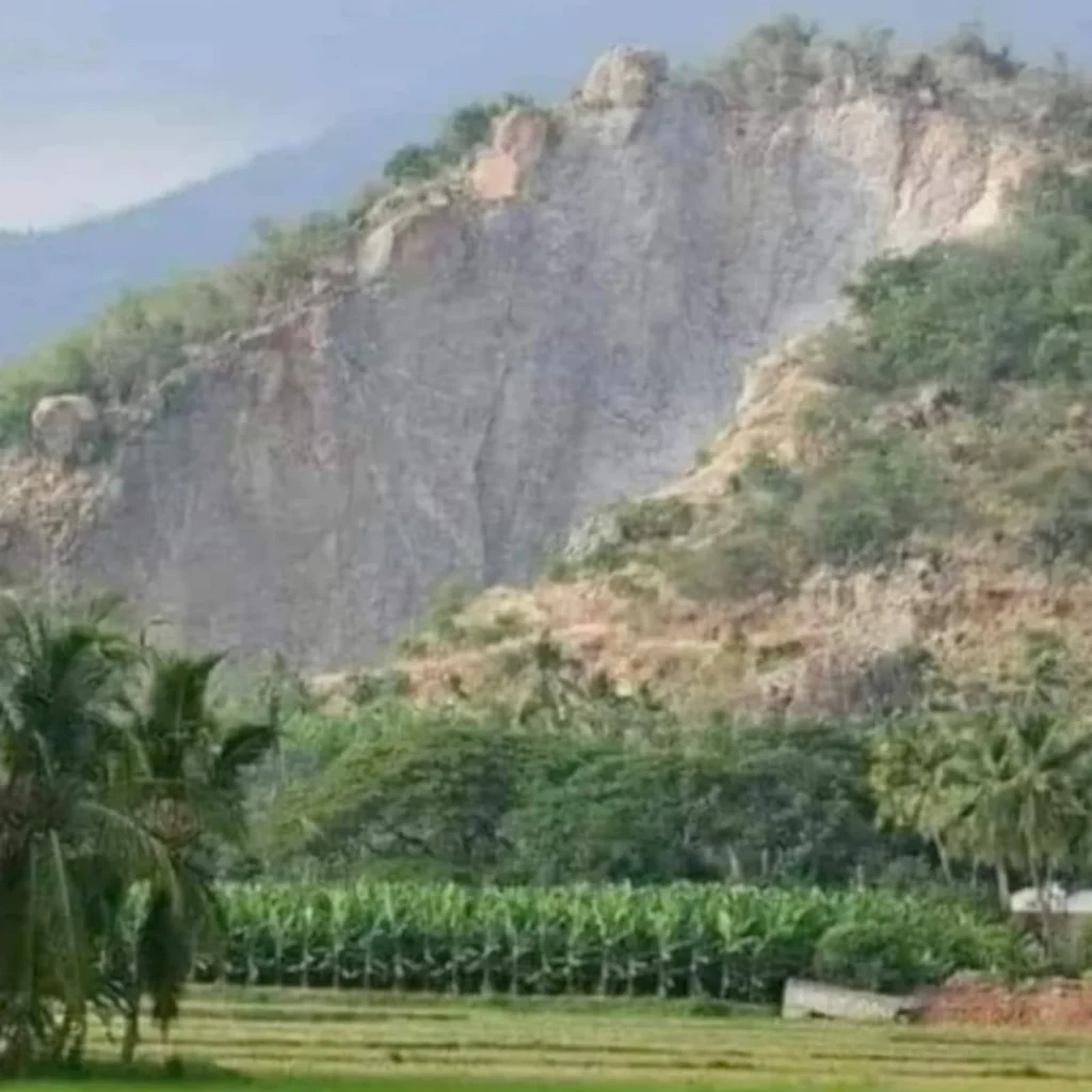 மேற்கு தொடர்ச்சி மலையில் தொடரும் குவாரி பணிகள்: சுற்றுச்சூழல் ஆர்வலர்கள் கவலை
வேளிமலை அழிவின் விளிம்பில்: நீர்வளம் மற்றும் உயிர்ப்பன்மை பாதிப்பு
கல்குவாரிகளால் பாலைவனமாகும் வேளிமலை?
கன்னியாகுமரியின் இயற்கை அரணான வேளிமலையை காப்போம்