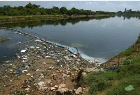 கருப்பு நிறமாக மாறிய காவிரி: தொழிற்சாலை கழிவுகளின் விளைவா?
காவிரி ஆற்றில் சாய ஆலைக் கழிவுகள்: சுற்றுச்சூழலுக்கு புதிய அச்சுறுத்தல்
குடிநீர் ஆதாரமான காவிரி ஆறு மாசுபடுவது ஏன்?
காவிரியை காப்பது யார்? சமூக பொதுநல இயக்கம் கேள்வி