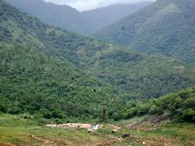 காவிரி, தாமிரபரணி, பெரியாறு உள்ளிட்ட பல ஜீவநதிகளின் பிறப்பிடமாக விளங்கும் மேற்கு தொடர்ச்சி மலைகள் இன்று காலநிலை மாற்றம், காடழிப்பு மற்றும் சுரங்கத் தொழிலால் ஆபத்தை எதிர்கொள்கின்றன. இந்த இயற்கை பொக்கிஷத்தை பாதுகாப்பது நம் ஒவ்வொருவரின் கடமையாகும்.
