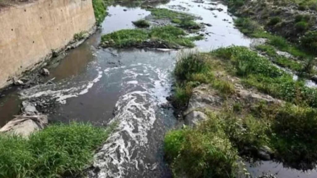 ஈரோடு பெருந்துறை சிப்காட் பகுதியில் தொழிற்சாலை கழிவுநீரால் மாசடைந்த நீர்நிலைகள்