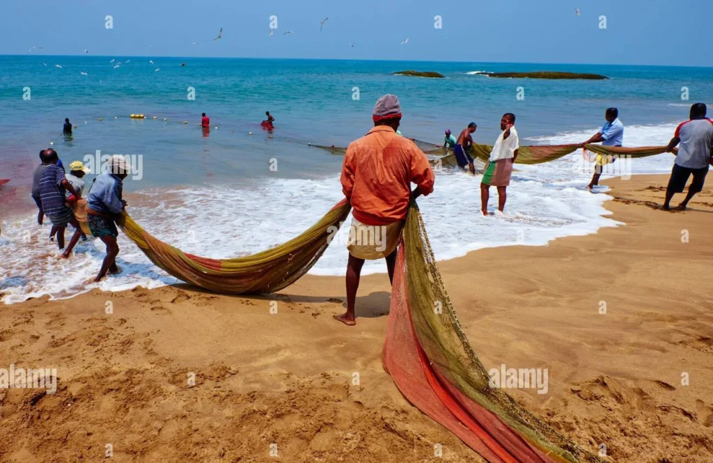 தமிழக மீனவர் பிரச்சனைகள்
கடலோர சமூக உரிமைகள்
தமிழக சமூக நீதி செய்திகள்