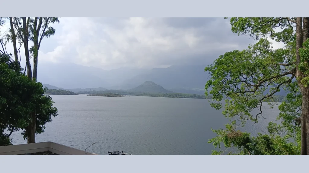 தூர்வாரப்படாத கால்வாயால் பாதிக்கப்பட்ட குமரி மாவட்ட விவசாய நிலங்கள்