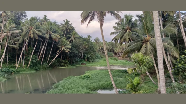 குமரி மாவட்டத்தில் நீர்வள பாதுகாப்பிற்கான தடுப்பணை அமைப்பு