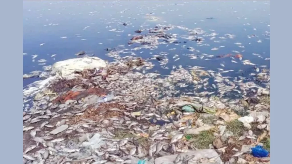 சேலம் மாவட்டத்தில் தொழிற்சாலை கழிவுகளால் மாசுபட்ட நீர் மற்றும் அதன் விளைவுகள்