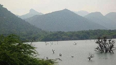 தென்காசி செண்பகவல்லி அணை. தமிழ்நாடு அணைகள் மற்றும் நீர்வள செய்திகள்