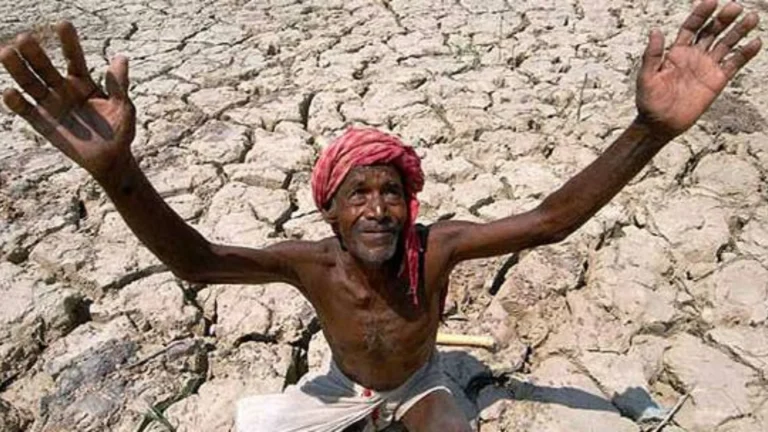 தமிழ்நாட்டில் மாநில விவசாயிகள் ஆணையம் அமைக்கப்படுவது எப்போது? சமூக பொதுநல இயக்கம் கேள்வி-
