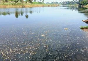 polluted rivers tamilnadu
நதி மாசுபாடு மற்றும் தீர்வுகள்