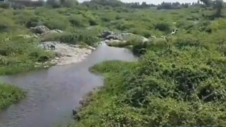 சேலத்தில் மாசுபாட்டால் பாழாகிப்போன புண்ணிய தலமான வசிஷ்ட நதி – சமூக பொதுநல இயக்கம் குற்றச்சாட்டு-