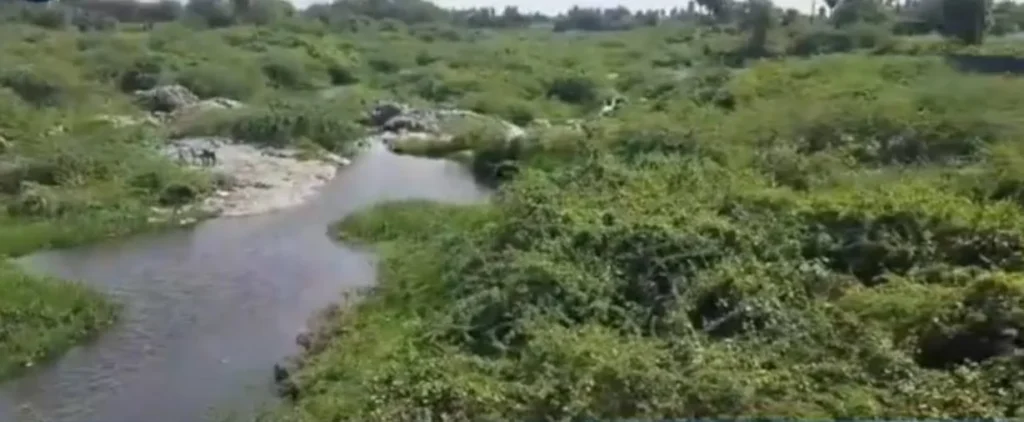 சேலம் சுற்றுச்சூழல் செய்திகள்