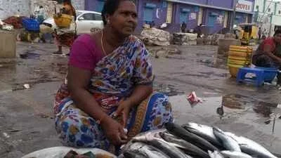 மீனவர் கூட்டுறவு சங்க வாக்காளர் பட்டியலில் தவறுகள்: விசாரணை கோரிக்கை
தகுதியான உறுப்பினர்கள் நீக்கம்: குமரி மீனவர் சங்கத்தில் சர்ச்சை
கூட்டுறவு சங்க தேர்தலுக்கு முன் வாக்காளர் பட்டியல் குளறுபடி
உயிருடன் உள்ளவர்களும் பட்டியலில் இருந்து நீக்கப்பட்டார்களா?
மீனவர் சங்க தேர்தல் வெளிப்படையாக நடைபெறுமா?