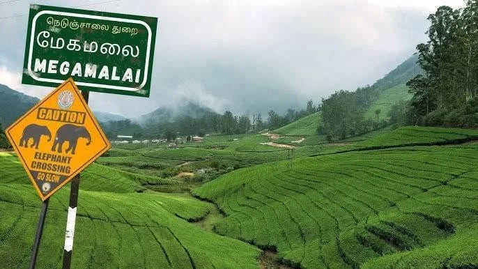 மேகமலையில் குவியும் குப்பைகள்: சுற்றுச்சூழலுக்கு புதிய அச்சுறுத்தல்
தேனியின் மேகமலை குப்பை மலையாக மாறுகிறதா?
வனவிலங்குகளுக்கு ஆபத்தை ஏற்படுத்தும் மேகமலை குப்பைகள்
மேற்குத் தொடர்ச்சி மலையில் அதிகரிக்கும் கழிவு மாசுபாடு