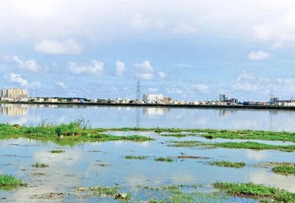 பள்ளிக்கரணை சதுப்புநில கட்டுமான திட்டத்திற்கு அனுமதி ரத்து
ராம்சார் தள பாதுகாப்பு வெற்றி: கட்டுமான திட்டம் நிறுத்தம்
சென்னை பள்ளிக்கரணை சதுப்புநிலத்தில் முக்கிய தீர்ப்பு
சுற்றுச்சூழல் அனுமதி ரத்து செய்யப்பட்ட அடுக்குமாடி திட்டம்
Wetland பாதுகாப்பில் அரசின் முக்கிய நடவடிக்கை