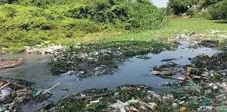 வடவாறு சீரமைப்பு இல்லையெனில் விவசாயம் பாதிப்பு
தஞ்சாவூரின் முக்கிய நீராதாரம் ஆபத்தில்
வடவாறு ஆற்றை மீட்க சமூக பொதுநல இயக்கம் வலியுறுத்தல்
தஞ்சை நகரின் உயிர்நாடி வடவாறு பாதுகாக்கப்படுமா?
வடவாற்றில் கழிவுநீர் கலப்பை தடுக்க உடனடி நடவடிக்கை தேவை
